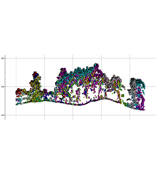 Enhanced Vegetation Penetration