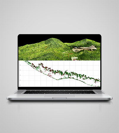 優れた植生透過