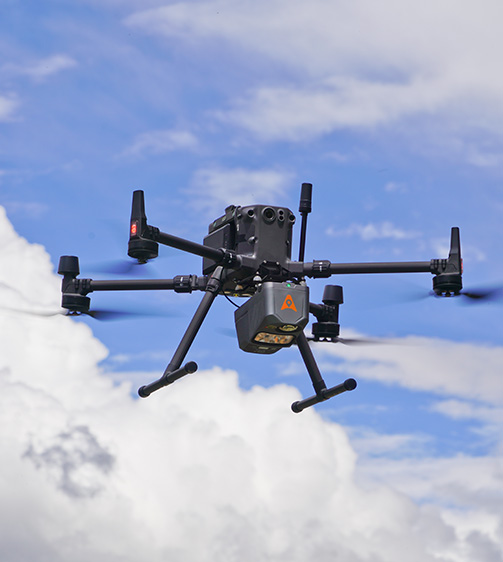 生データへの即時アクセス