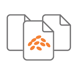 Multi-Format Support