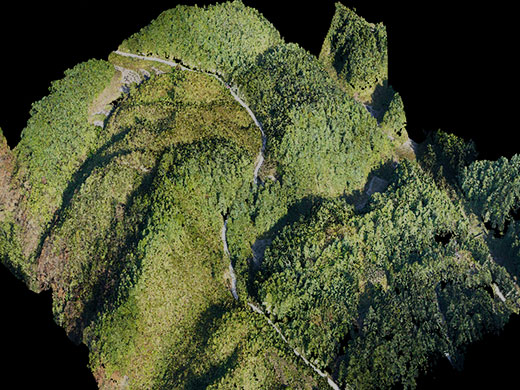 Le LiDAR identifie les peuplements forestiers, analyse le terrain et surveille les forêts.