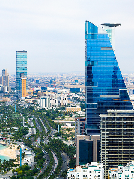 CHCナビゲーション アフリカ & KSA